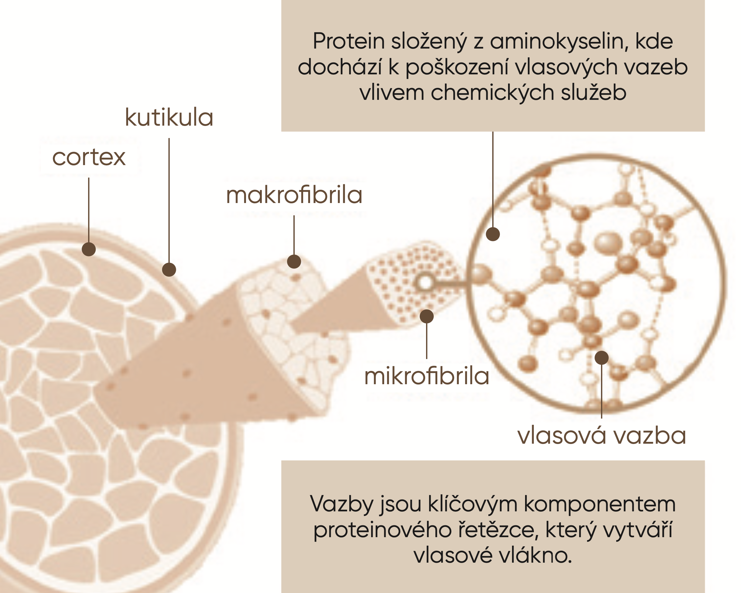 Snímek obrazovky 2024-02-06 v 20.30.07